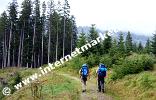 Itinerario che porta al Rifugio Fronza alle Coronelle (Foto: Volker)