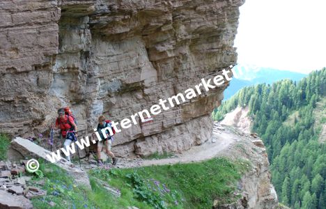 Lungo l’Alta Via della Val di Fassa nel Catinaccio (Foto: R. Jakubowski)