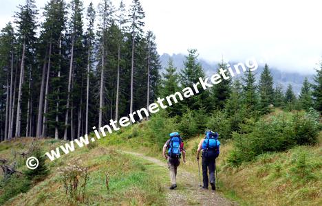 Itinerario che porta al Rifugio Fronza alle Coronelle (Foto: Volker)