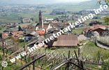 Blick vom Algunder Waalweg auf Algund Dorf (Foto: R. Jakubowski).