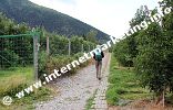 Obstgärten bei Morter im Vinschgau (Foto: B. Jakubowski).