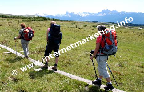 Feuchtwiesen auf der Villanderer Alm in den Sarntaler Alpen (Foto: R. Jakubowski).