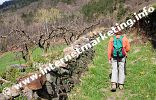 Steinmauer am Weg zum Tscharser Waal (Foto: R. Jakubowski).