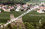 Burgruine Unterrmontani oberhalb der Ortschaft Morter im Vinschgau (Foto: R. Jakubowski).