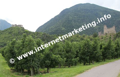 Die Ruinen Obermontani und Untermontani bei Morter im Vinschgau (Foto: R. Jakubowski).